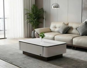 Bàn Sofa Phòng Khách Đẹp 485S