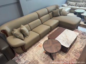 Bộ Ghế Sofa Gỗ Cao Cấp 1145T