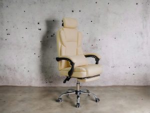 Ghế Công Thái Học 316T