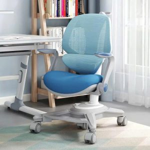 Ghế Học Sinh Chống Gù 131S