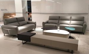 Ghế Sofa Thư Giãn Chỉnh Điện 1683T