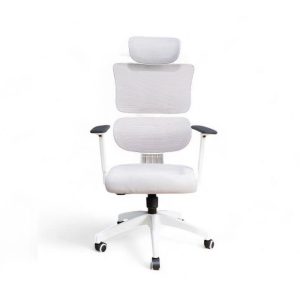 Ghế Văn Phòng Làm Việc 319T