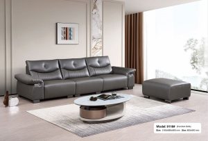 Sofa Băng Chỉnh Điện Nhập Khẩu 1036T