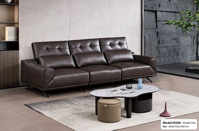 Sofa Băng Nhập Khẩu 1035T