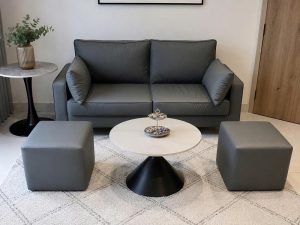 Sofa Băng Phòng Khách 1170T