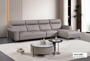 Sofa Hiện Đại Nhập Khẩu 1071T
