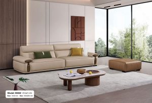 Sofa Nhập Khẩu 1665T